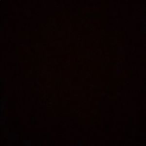 Meet your Posher, Talisa